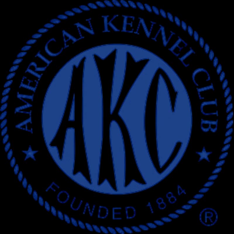 AKC Registration